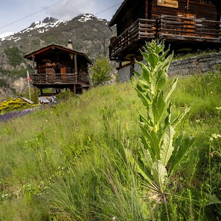 Korn-Stadel Arida Prata "Natur Pur" Grächen Exterior foto