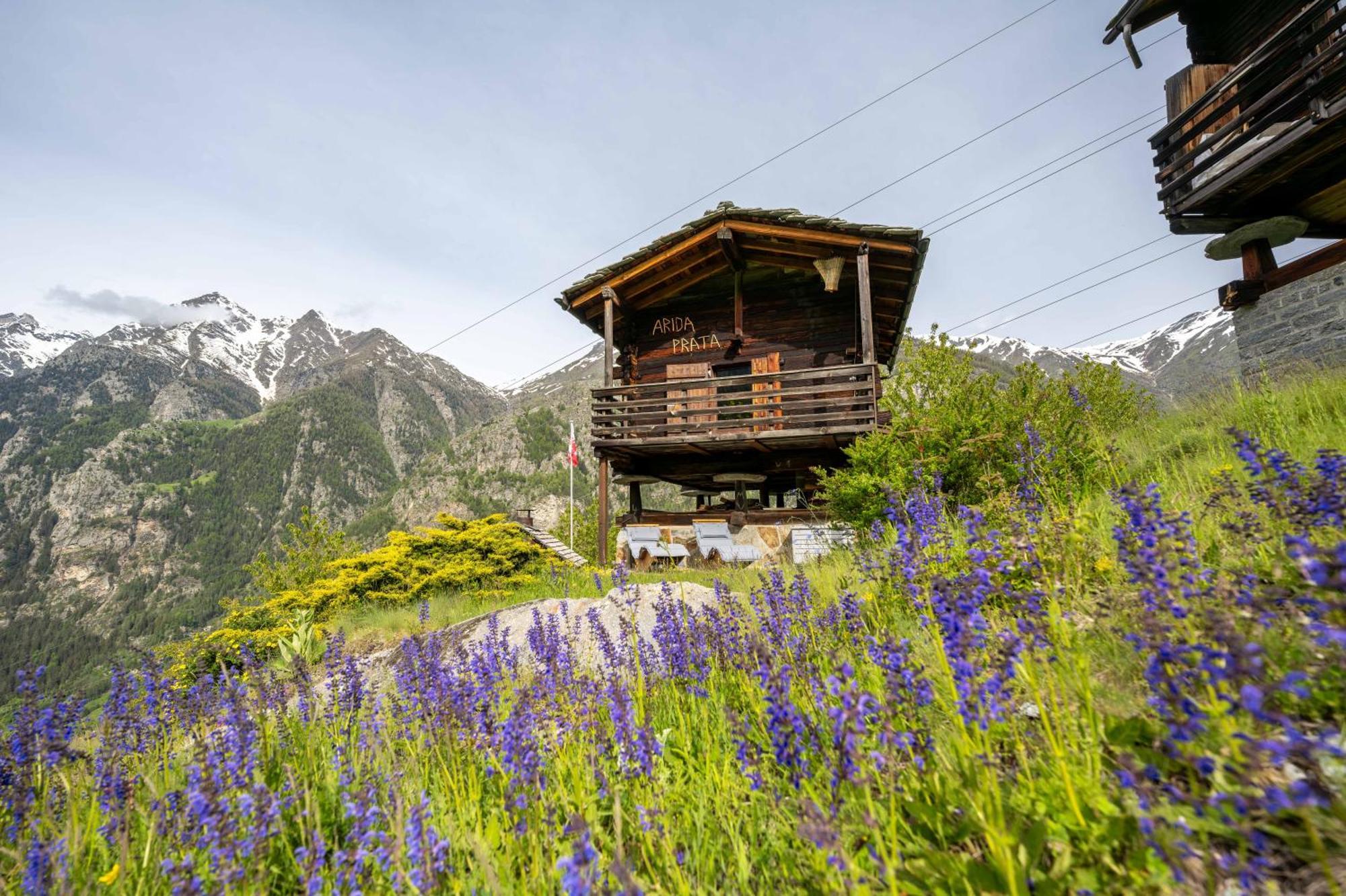 Korn-Stadel Arida Prata "Natur Pur" Grächen Exterior foto