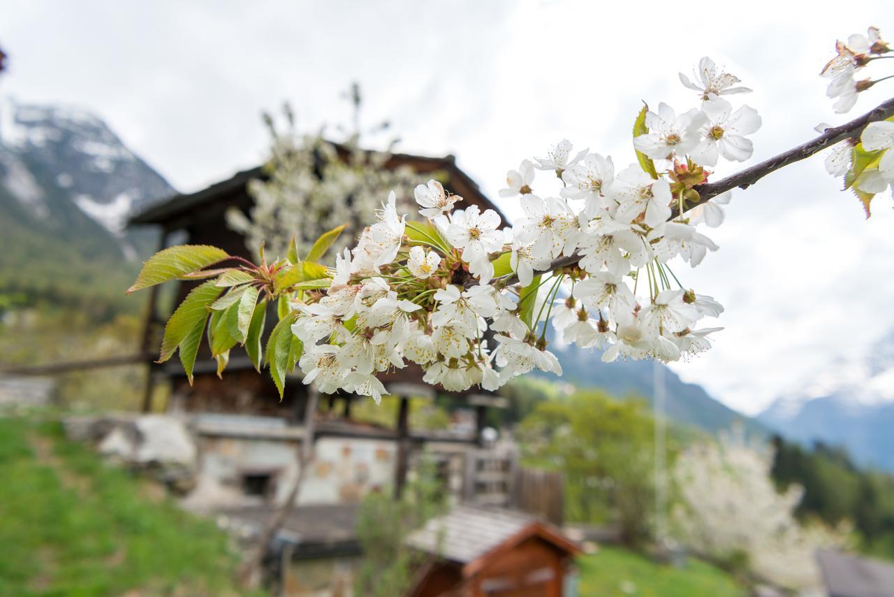 Korn-Stadel Arida Prata "Natur Pur" Grächen Exterior foto